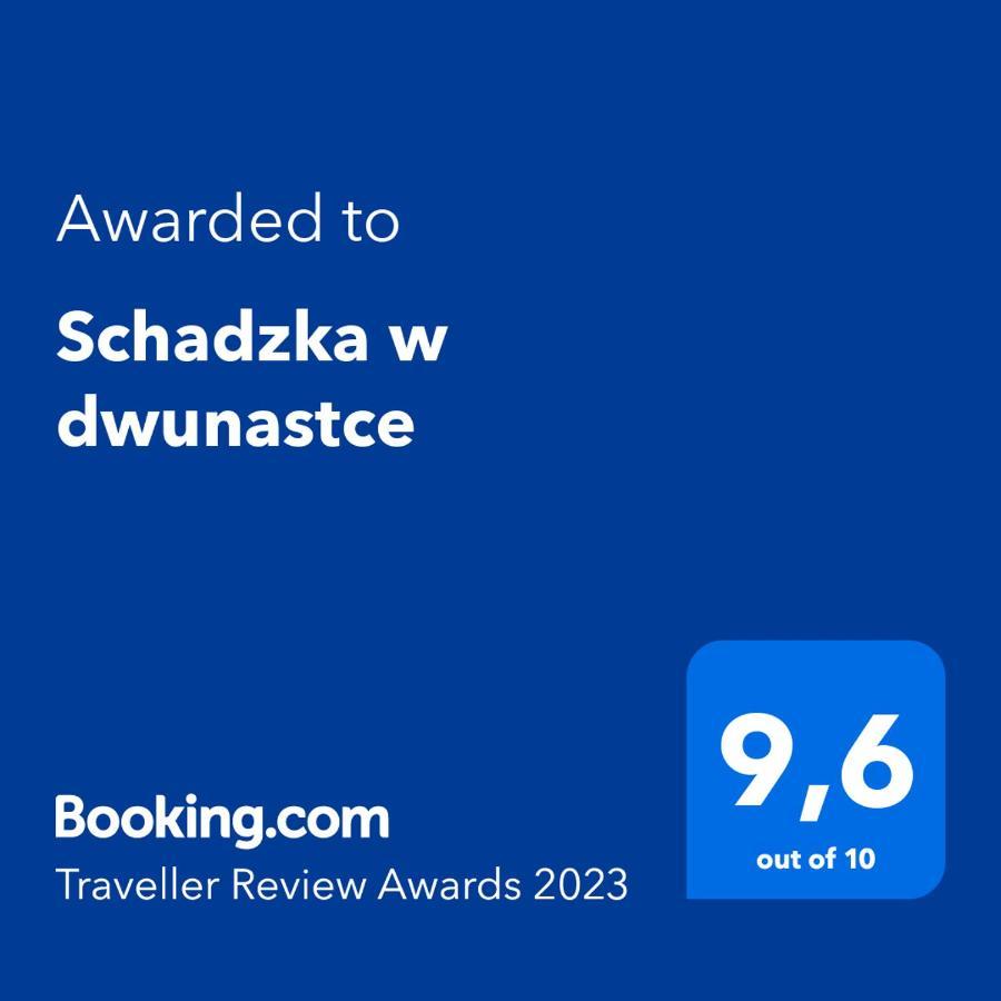 Schadzka W Dwunastce Z Widokiem Na Jezioro Borsk Ngoại thất bức ảnh